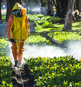 Phytosanitary  Fumigation