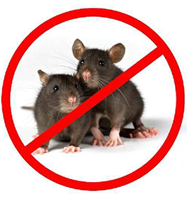 Control of Rodents 